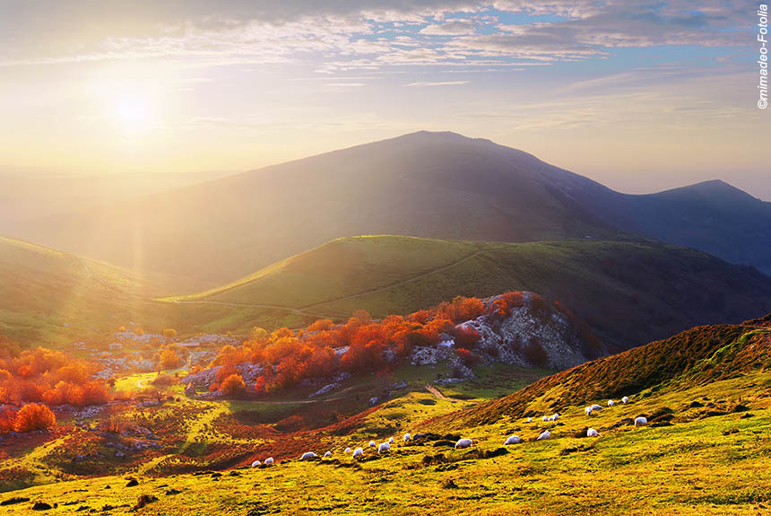 Pays Basque en automne ©mimadeo-Fotolia