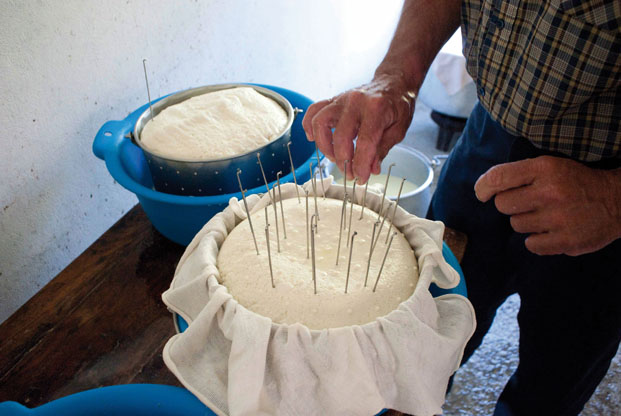 Fabrication du fromage des Pyrénées