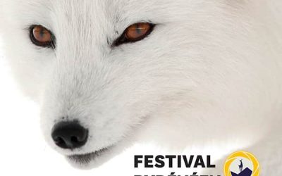 Festival Pyrénéen de l’Image Nature les 5, 6 et 7 octobre 2021 à Cauterets